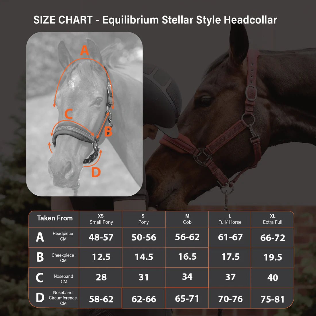 Equilibrium Stellar Style Halter - Aitken's Saddlery