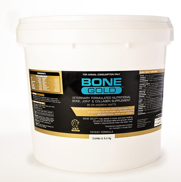 Equine Bone Gold