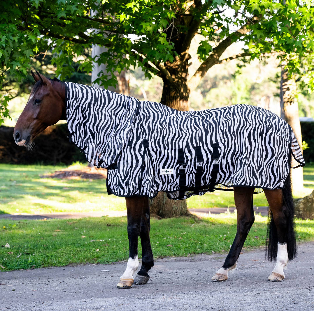 Eureka Deluxe Zebra Mesh Combo - Aitken's Saddlery