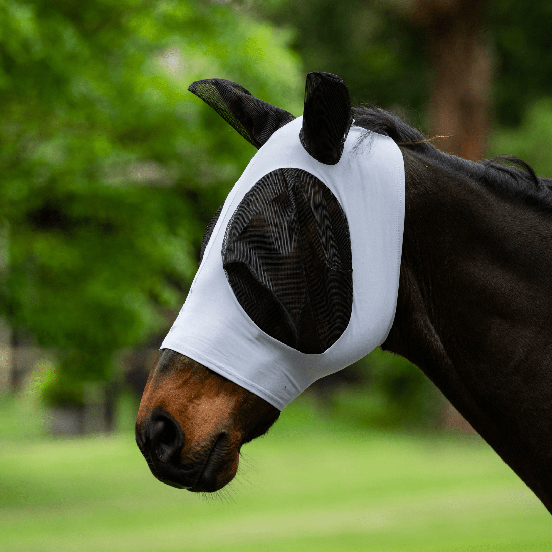 Eureka Stretch Bug Eye Fly Mask - Aitken's Saddlery