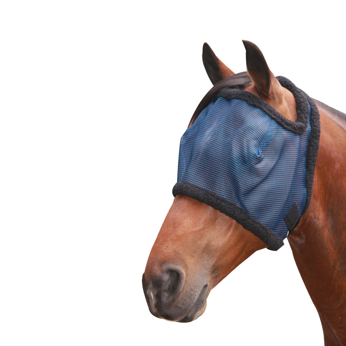 Fly Mask with Citronella Black Base - Aitken's Saddlery