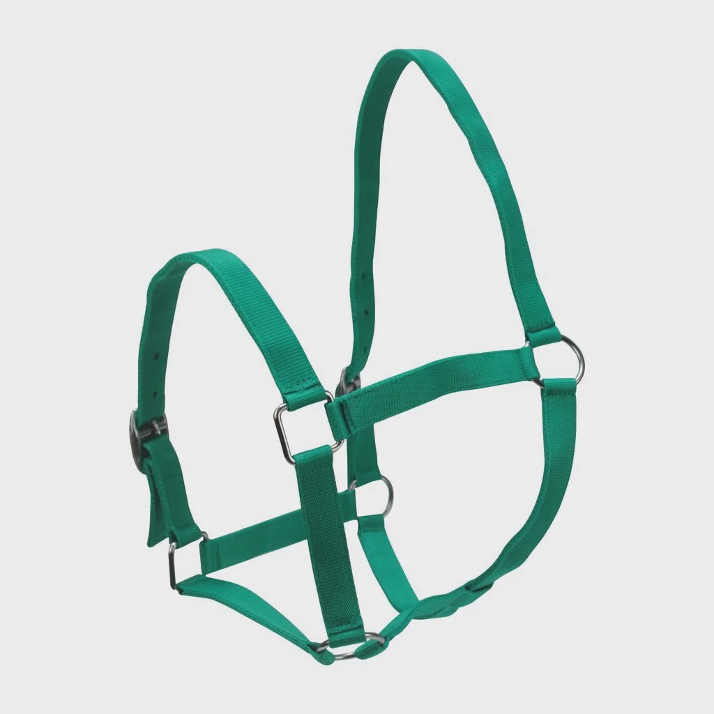 Eureka Nylon Buckle Headstall Green