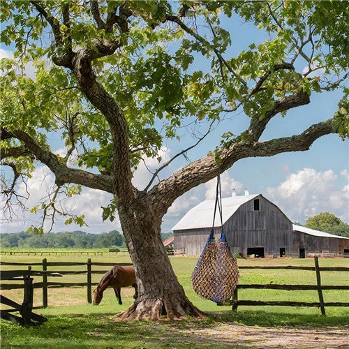 Heavy Poly Hay Net with small holes - Aitken's Saddlery