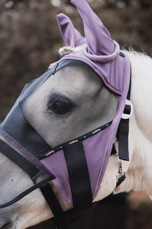Horze Cooling Fly Mask - Aitken's Saddlery