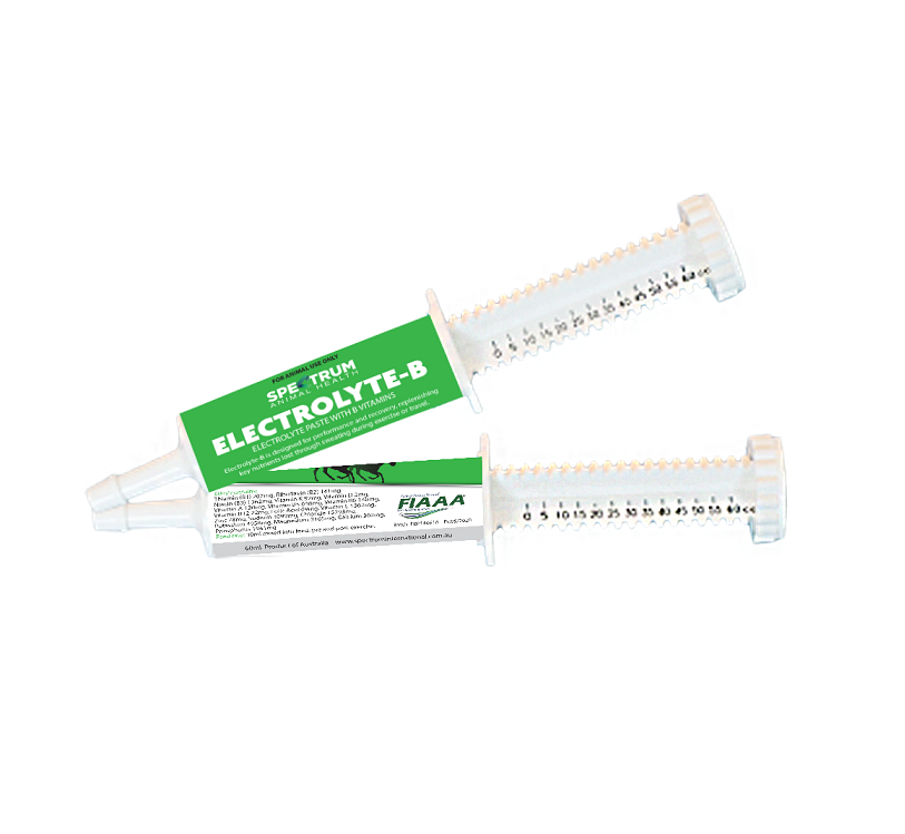 Electrolye Paste 60ml