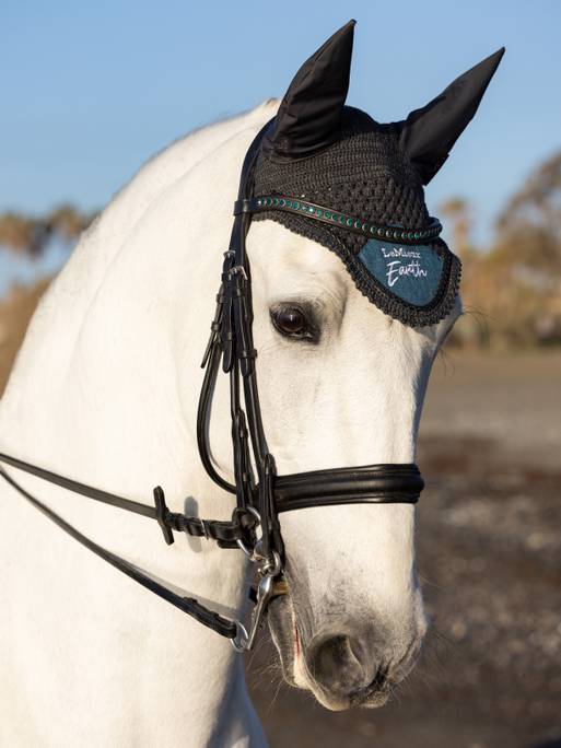 LeMieux Earth Fly Hood Ocean