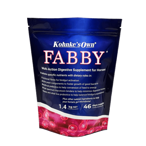 Kohnkes Fabby - Aitken's Saddlery