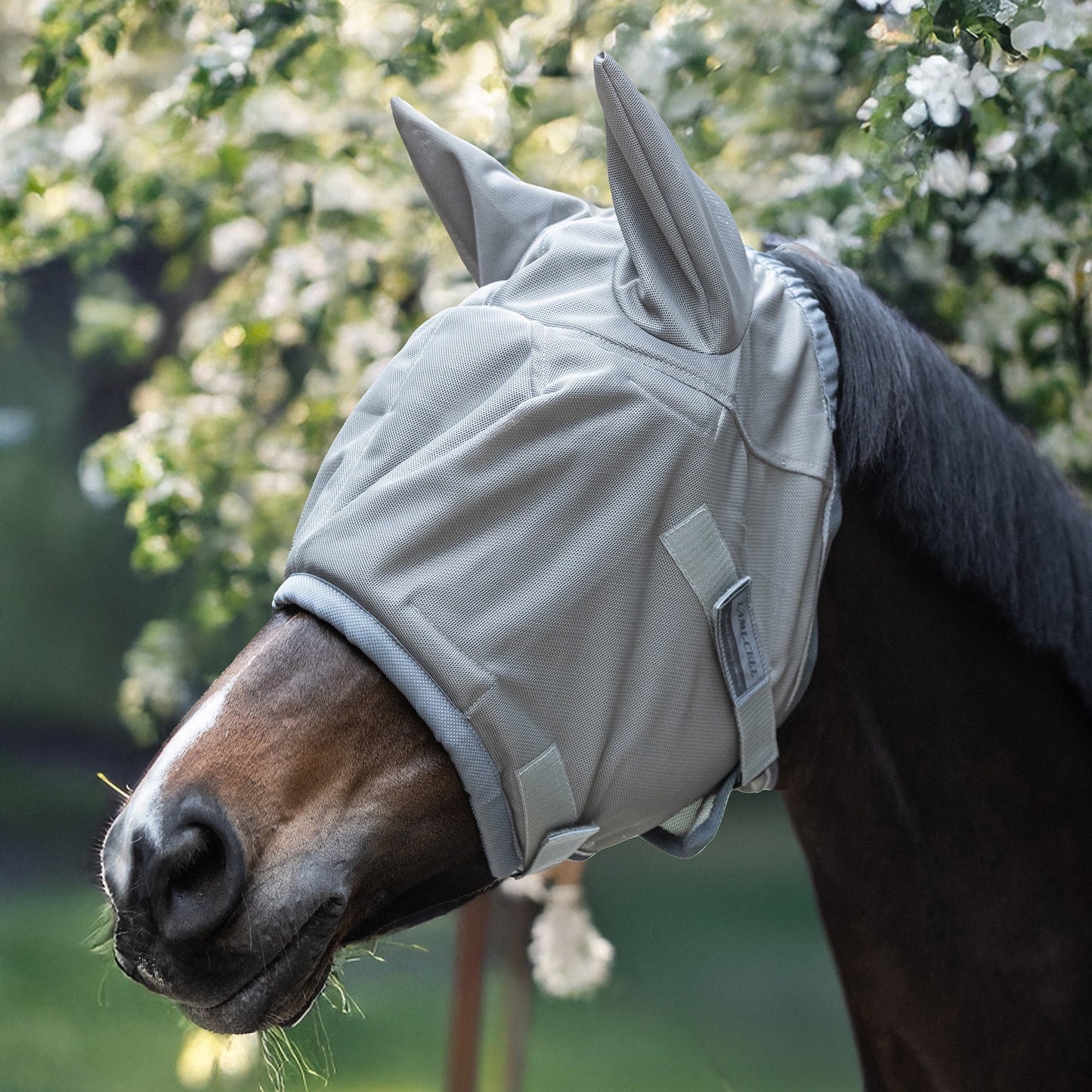 Lami-Cell Insect Master Flymask - Aitken's Saddlery