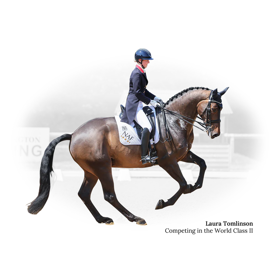 Fairfax World Class II Dressage Saddle Black