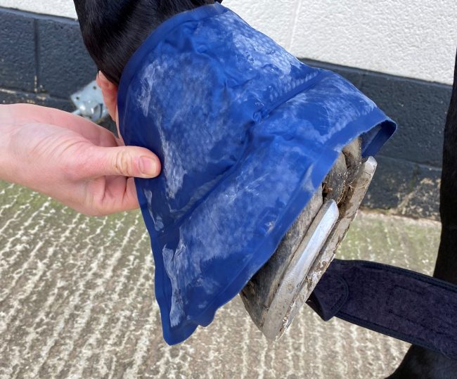 Cryochaps Absolute Ice Wrap Pastern, Hocks or Knees