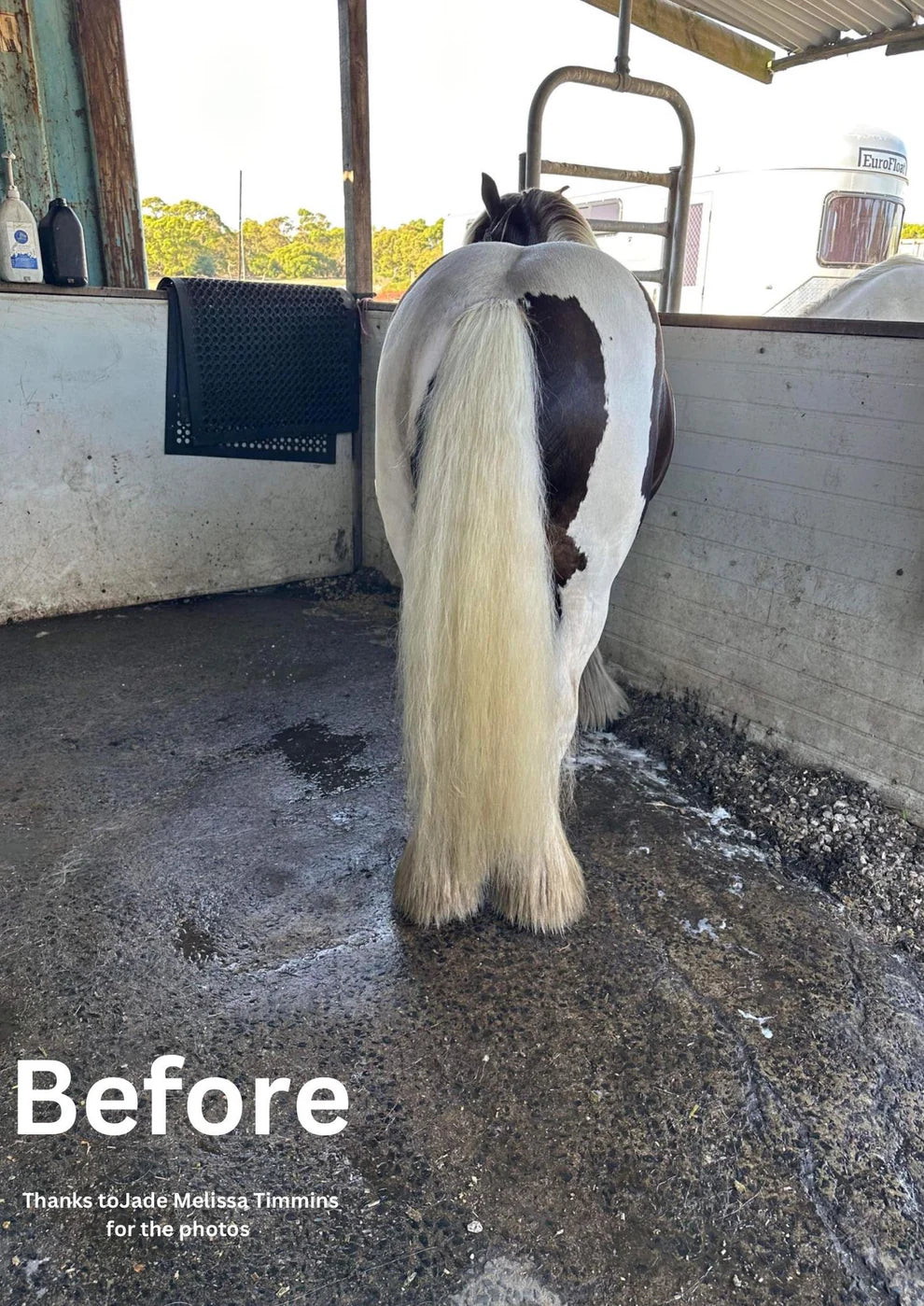 Hairy Pony Horse Purple Hair Repair Treatment