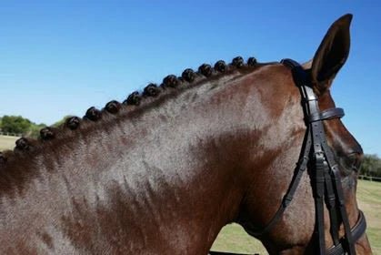 Perfect Plaits 500ml - Aitken's Saddlery