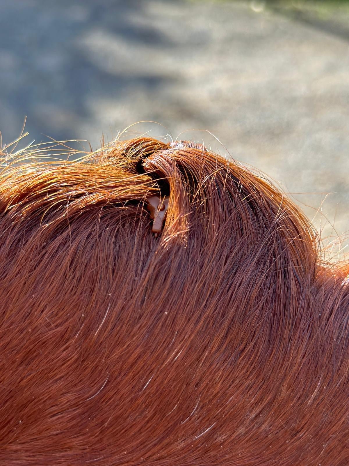 Quick knot Deluxe 35 Pieces - Aitken's Saddlery