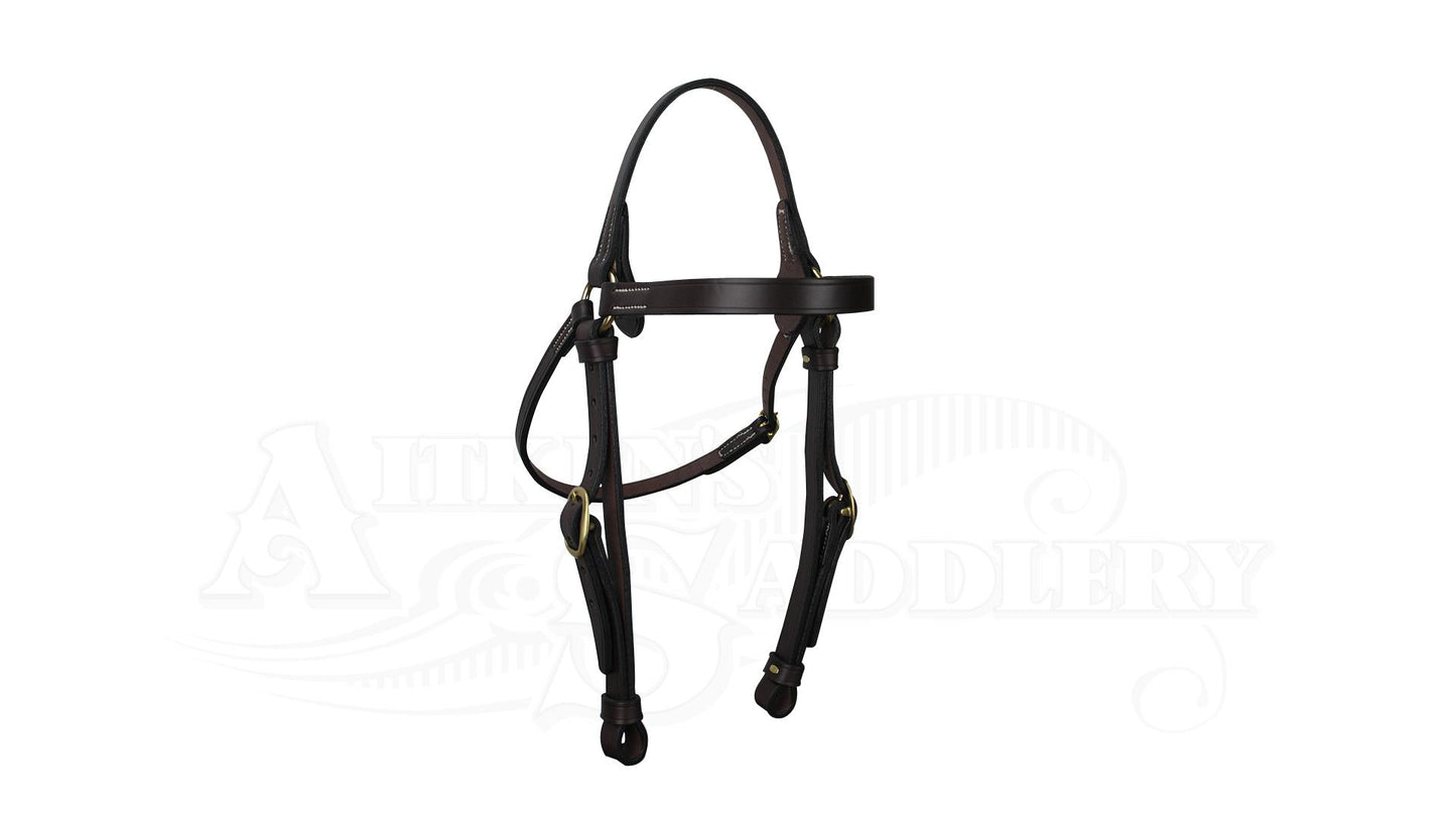 Porter Barcoo Bridle