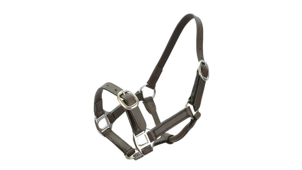 Showcraft Leather Foal Halter 