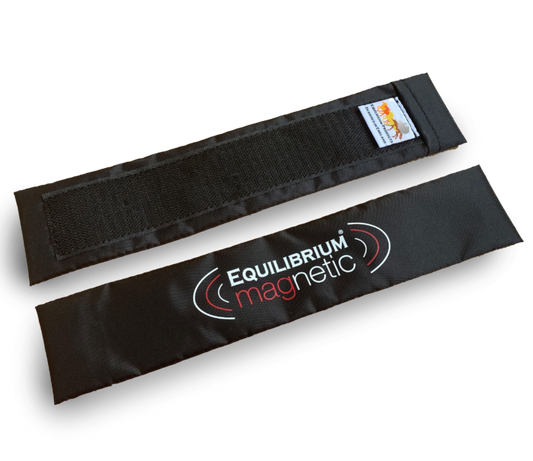 Spare Magnets Long