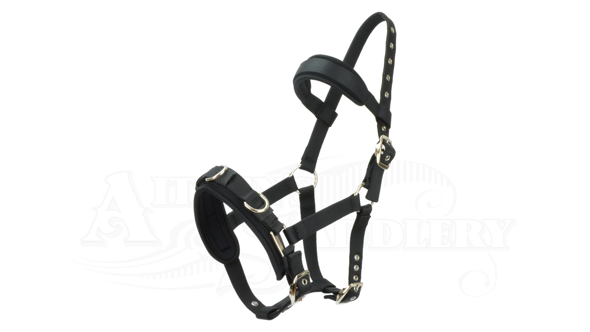 Nylon Lunge Cavesson Economy