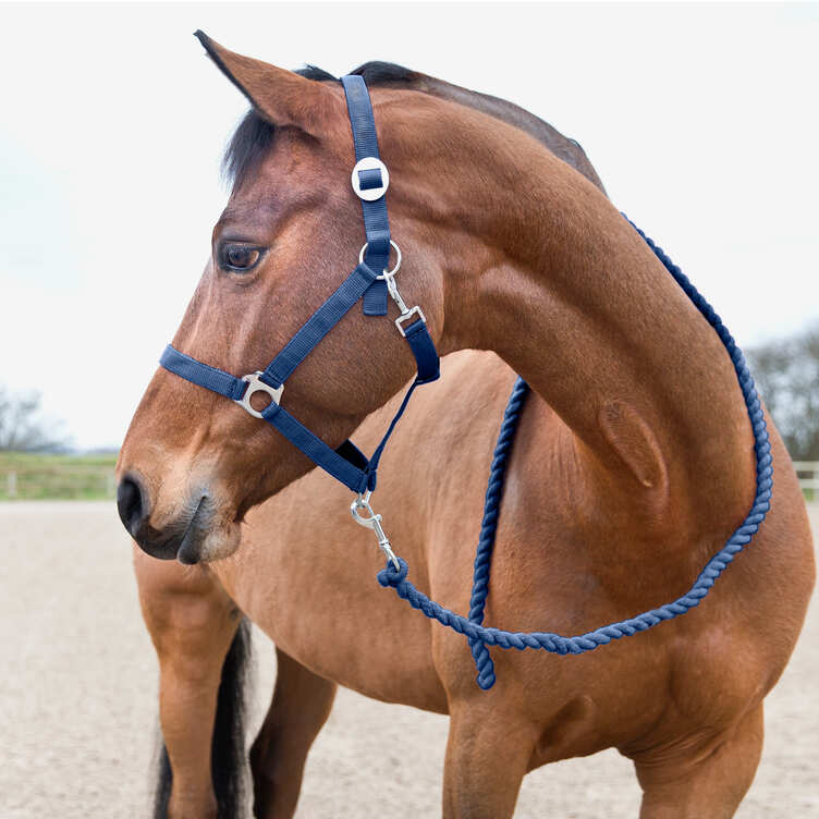 Horze Basic Lead Rope