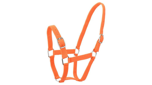 Eureka Nylon Buckle Headstall Orange