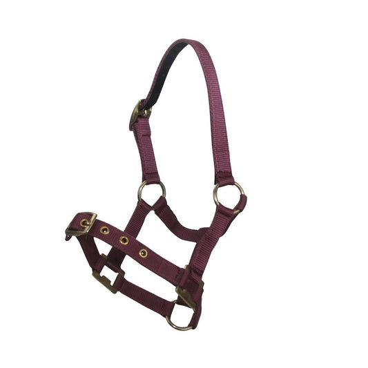 Nylon Miniature Headstall Burgandy