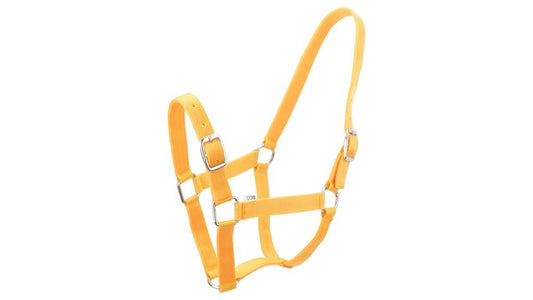Eureka Nylon Buckle Headstall Gold