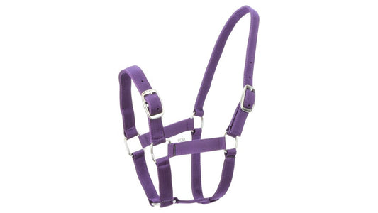 Eureka Nylon Buckle Headstall Plum