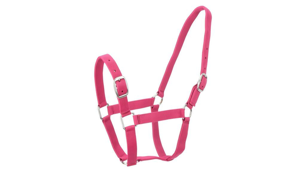 Eureka Nylon Buckle Headstall Rose Burgandy