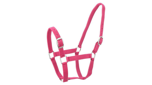 Eureka Nylon Buckle Headstall Rose Burgandy