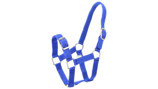 Eureka Nylon Buckle Headstall Royal Blue