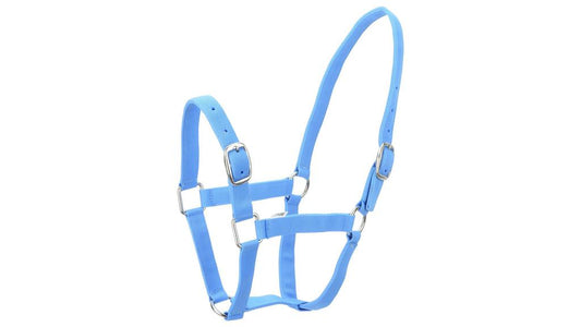 Eureka Nylon Buckle Headstall Skye Blue