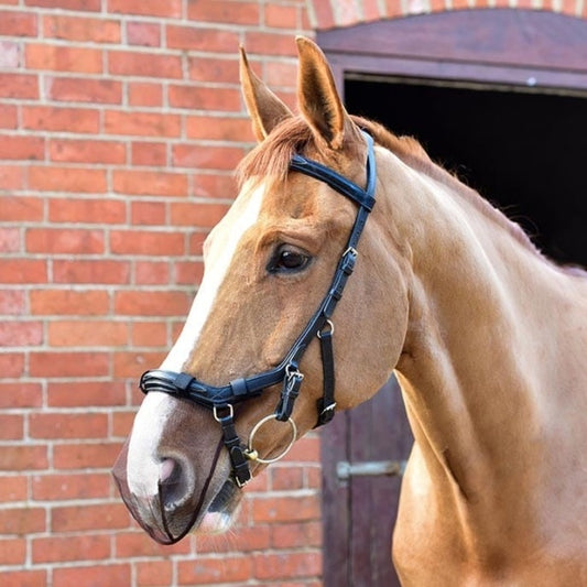 Equilibrium Net Relief Muzzle Net for Micklem Bridles