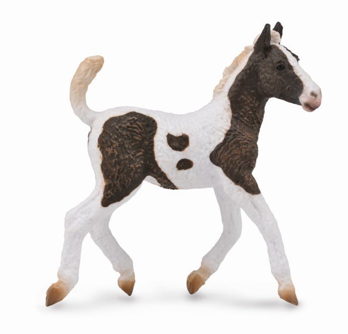 Collecta Curly Foal - Aitken's Saddlery