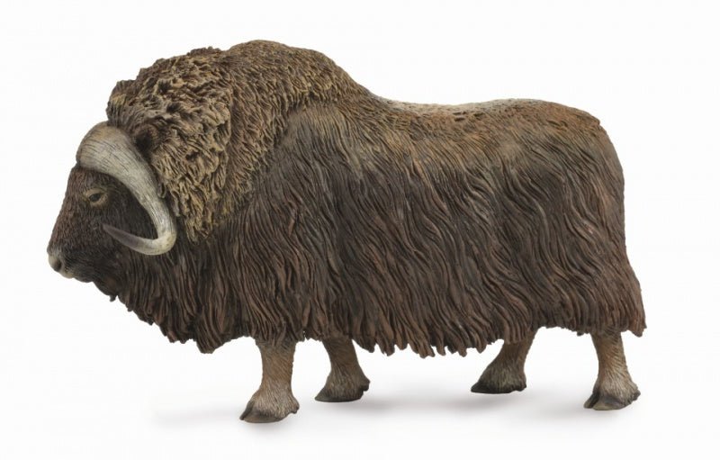 Collecta Musk Ox - Aitken's Saddlery