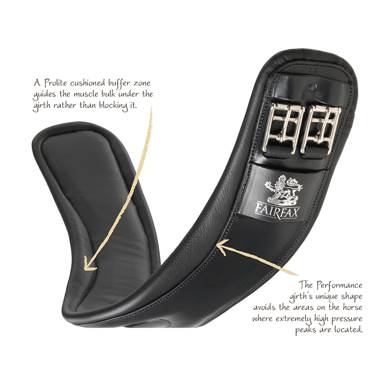 Fairfax Standard Gauge Performance Girth