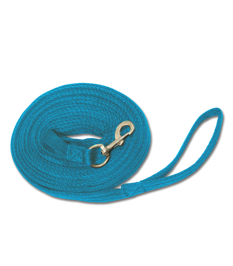 Waldhausen Lunge Rein Azure Blue 8 metres