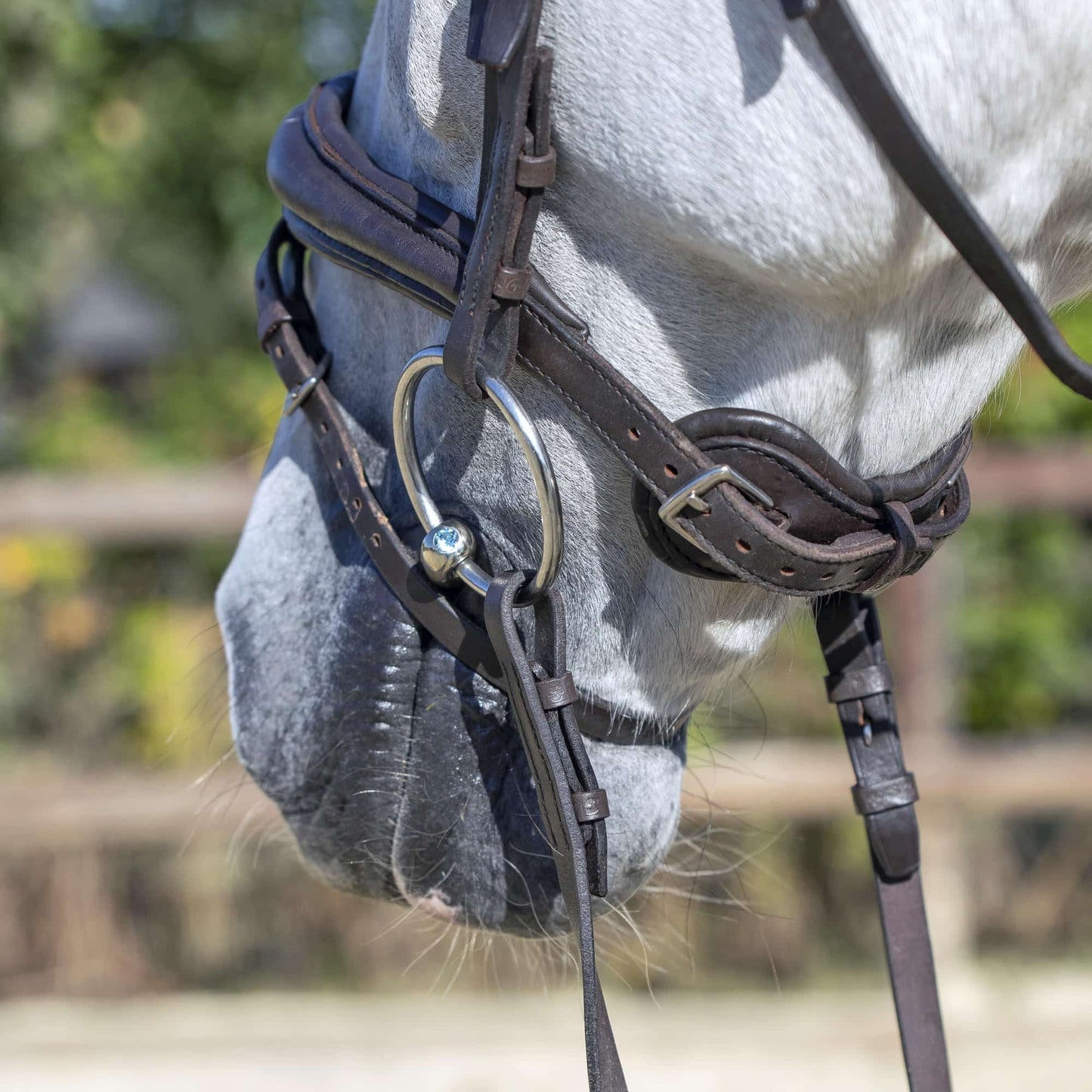 HS Dynamic RS Snaffle Sensogan Swarovski Bit - Aitken's Saddlery