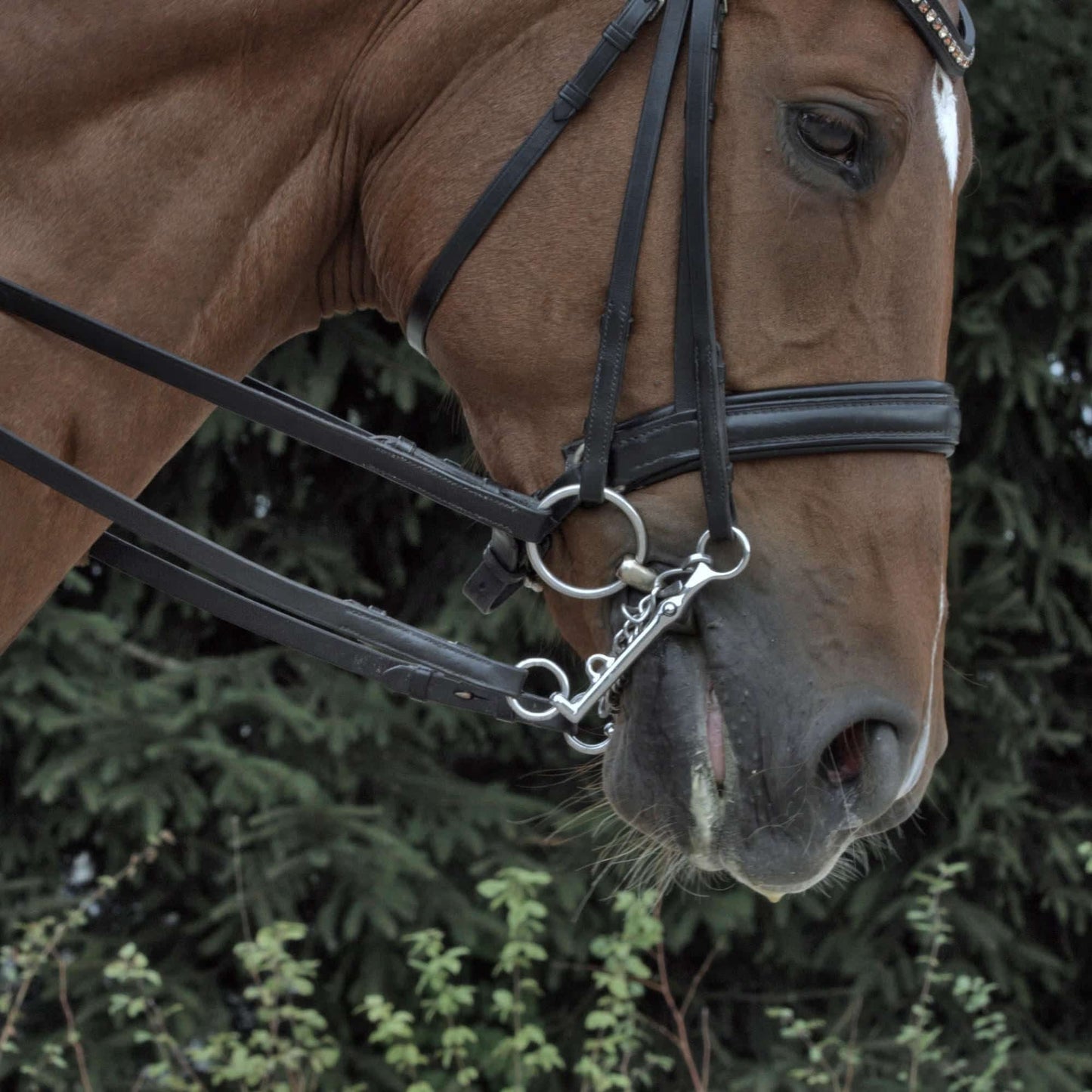 HS HO Sensogan Weymouth 12mm Bit - Aitken's Saddlery