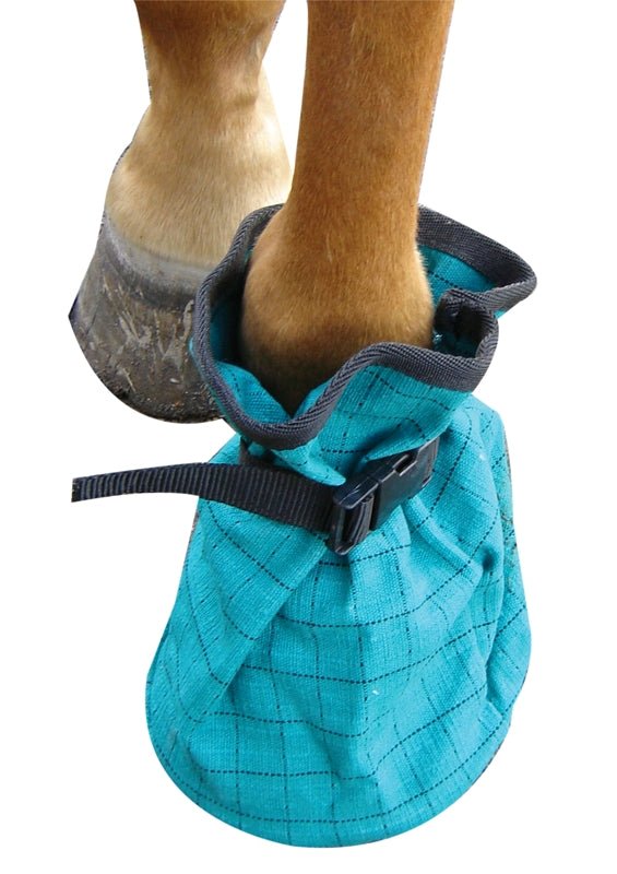 Poultice Canvas Boot - Aitken's Saddlery