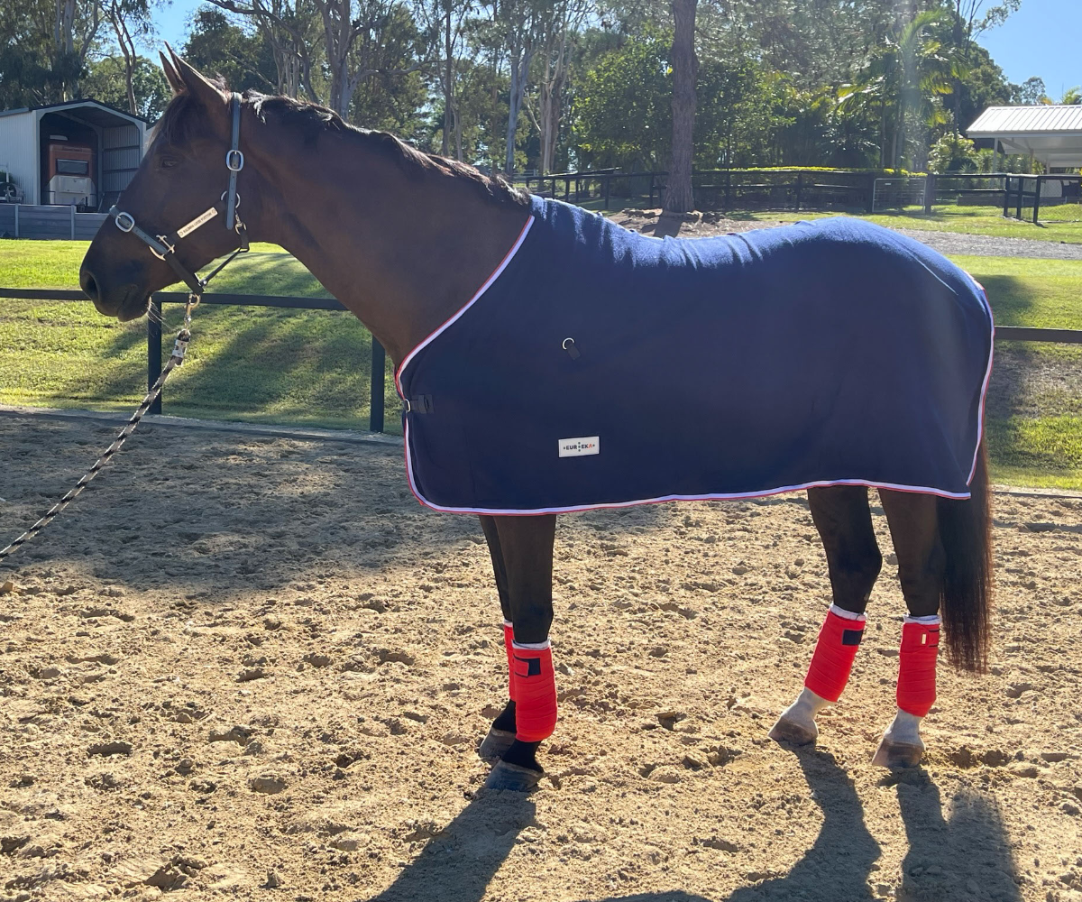 Polar Fleece Rug Navy Blue with White & Red Trim