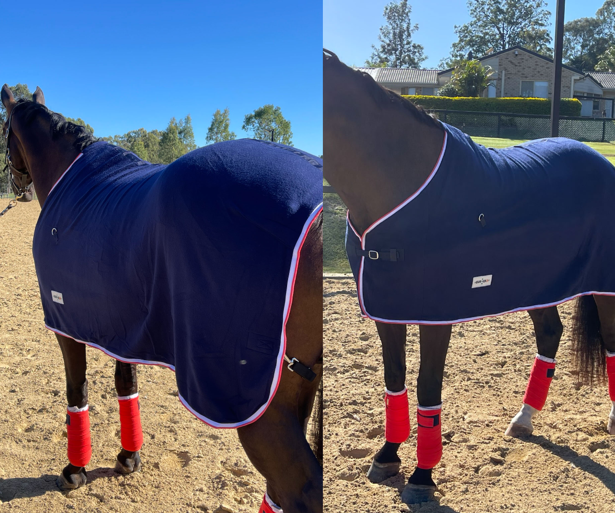 Polar Fleece Rug Navy Blue with White & Red Trim