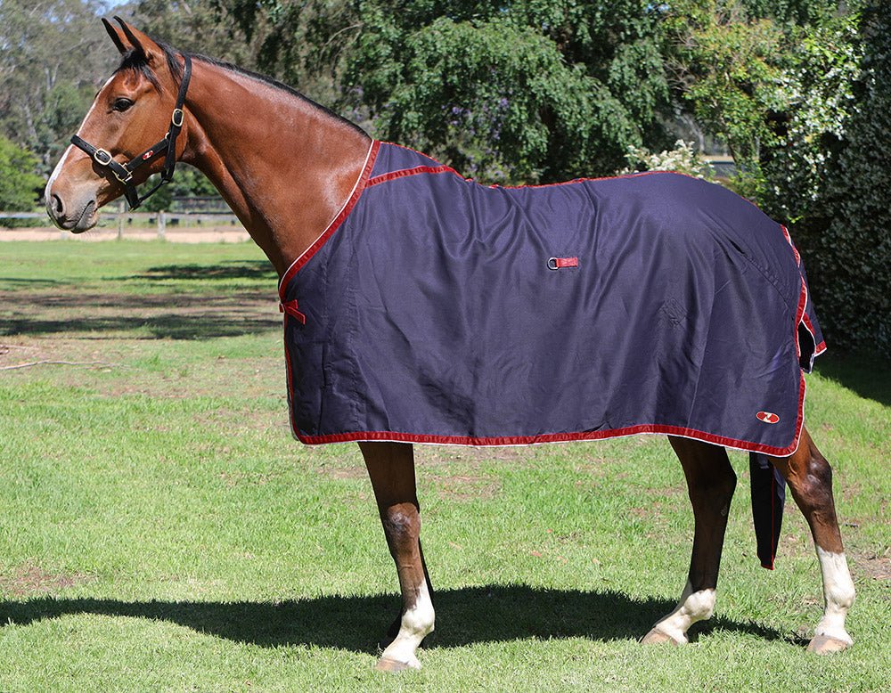 Show Circuit Cotton Rug Navy - Aitken's Saddlery
