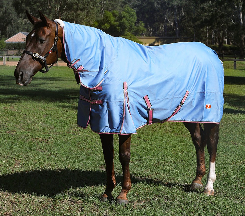 Zilco Guardian Combo Rug Pale Blue - Aitken's Saddlery