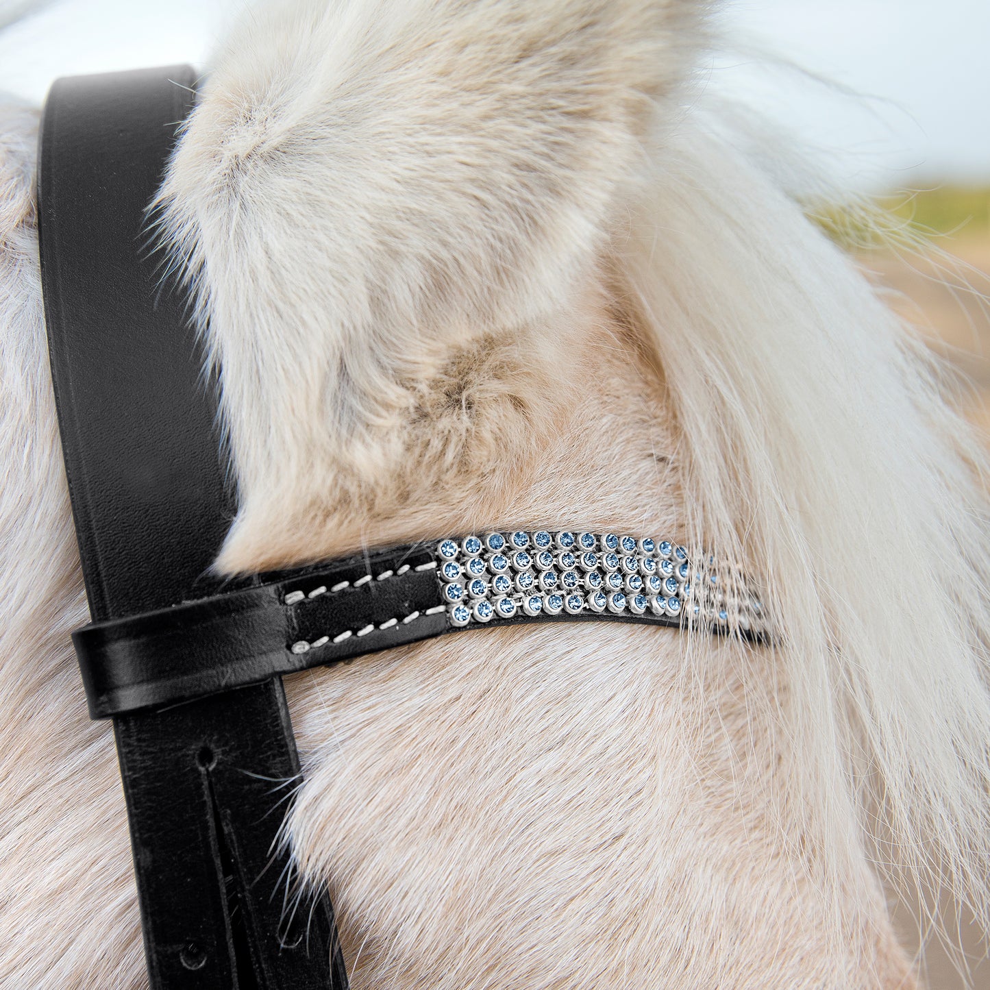 Horze Pony Bridle Black & Blue