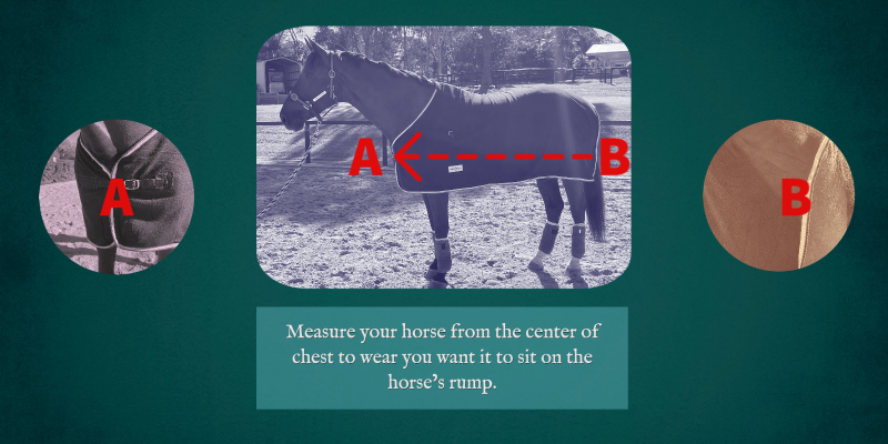 A Comprehensive Guide on How to Measure Your Horse Rug