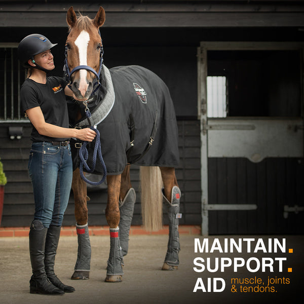 How Magnetic Therapy Products Help Older Horses