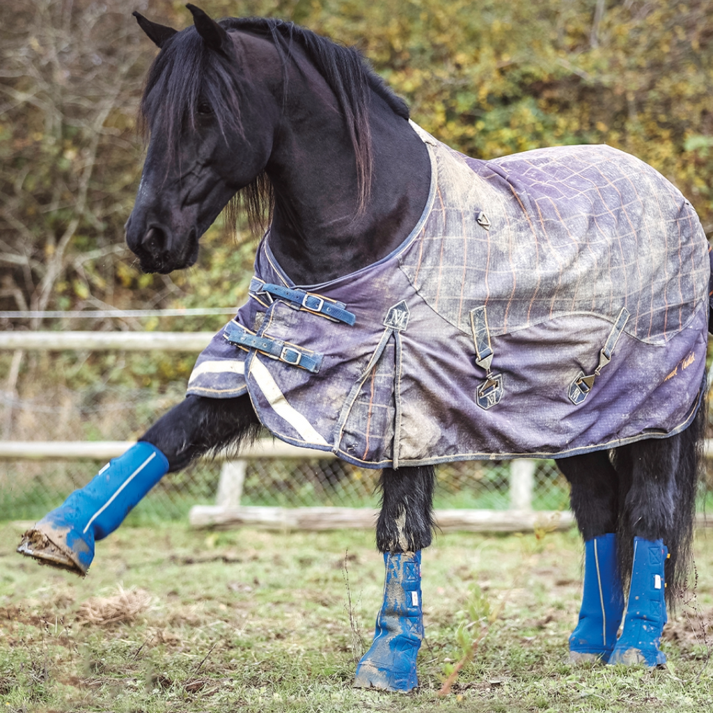 Top Tips for Preventing Mud Fever in Australian Horses