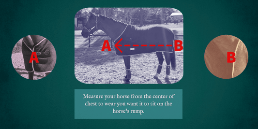 A Comprehensive Guide on How to Measure Your Horse Rug - Aitken's Saddlery