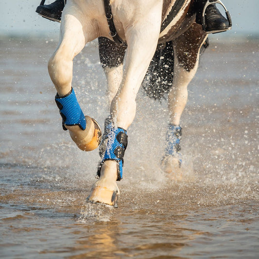 all sport boots: The Ultimate Protection - Aitken's Saddlery