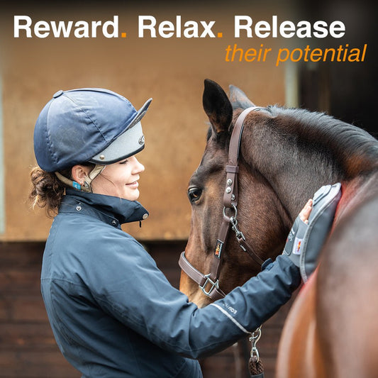 Benefits of Heat &amp; Massage - Aitken's Saddlery