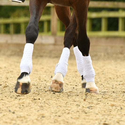 Breathability is best when considering leg protection - Aitken's Saddlery